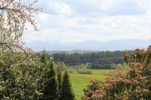 Apartamento Kuh Heimat - Bergblick - Terrasse