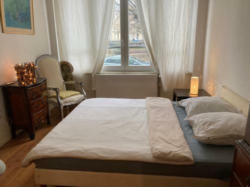 Apartamento Superbe Appartement Coeur de Belfort
