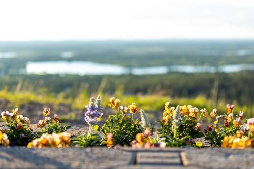 Apartamento Holiday In Lapland - Sointuilevi B63