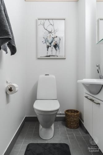 Apartamento Holiday In Lapland - Sointuilevi B62