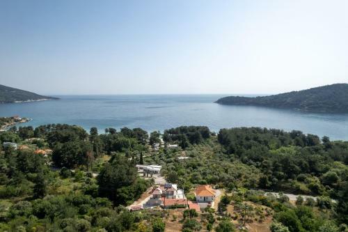 Alfa Boutique Hotel