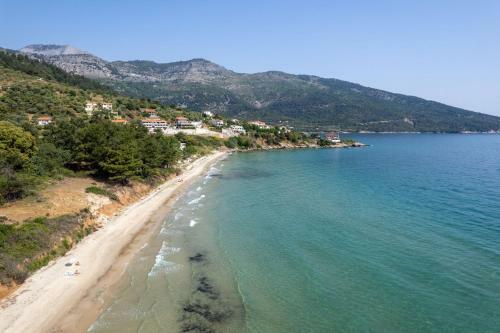 Alfa Boutique Hotel