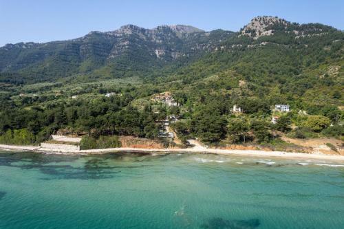 Alfa Boutique Hotel