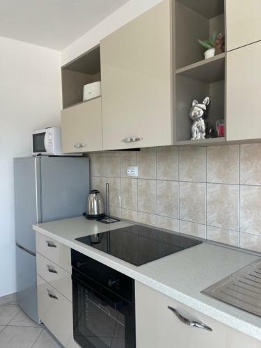 Apartmani Beba Privlaka