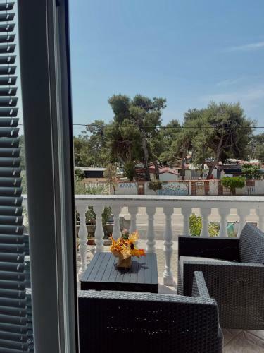 Apartmani Beba Privlaka