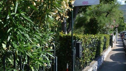 Hostal Apartments Oleandar
