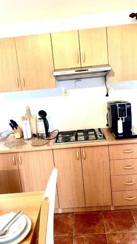 Apartment Ginz