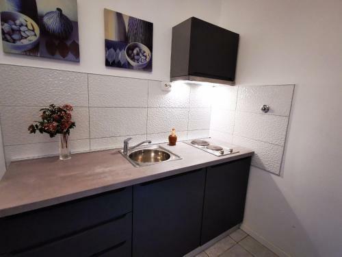 Apartment Niko