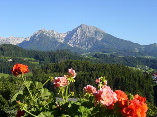 Apartamento Haus L�ger