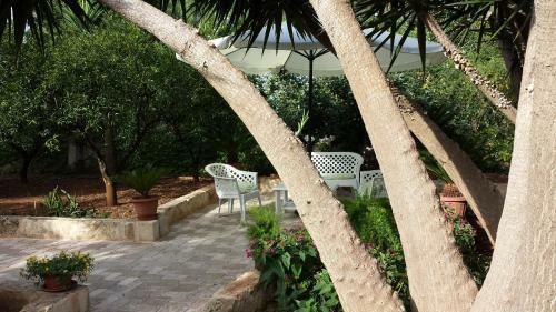 B&B Pittoresco