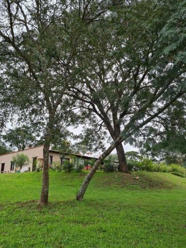 Finca Los Rosales