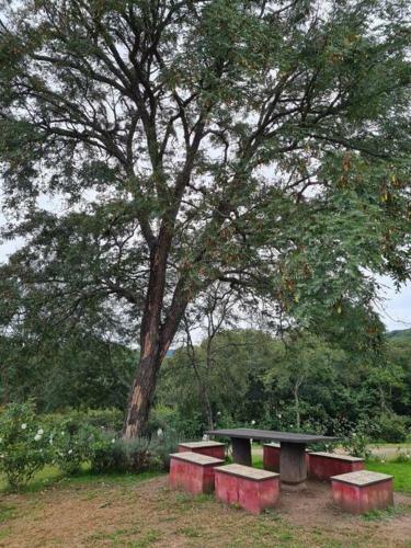 Finca Los Rosales