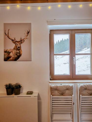 Cozy Tiny House Only 20 Mins From Ges�use!