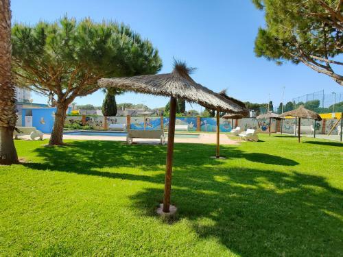 Practico Apartamento Con Piscina En Residencial Brezo Canet