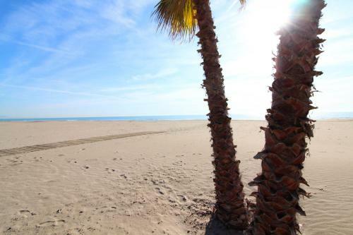 Practico Apartamento Con Piscina En Residencial Brezo Canet