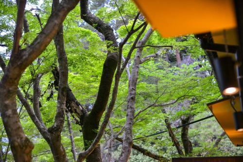 Forest Villa Mizuha