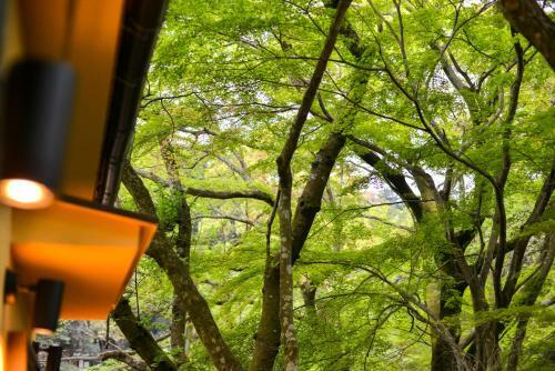 Forest Villa Mizuha
