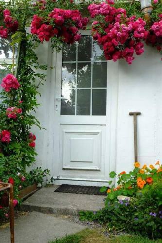 Ancaire Cottage Kilbronogue. Schull