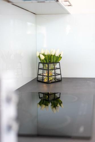 Apartment Toma