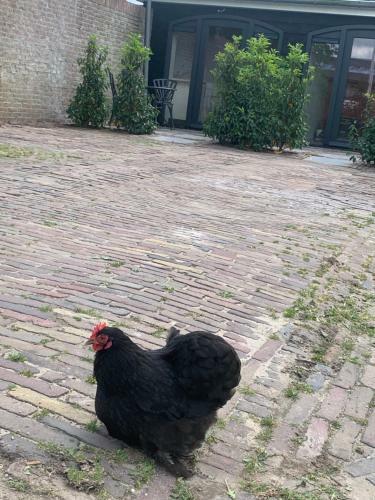 Apartamento Het Dijkje Utrecht