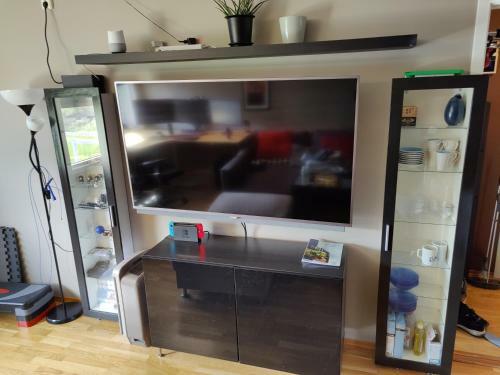 Comfy, Relaxing Full Apartment
