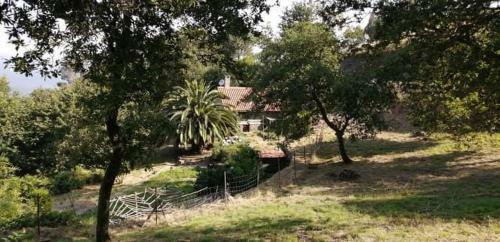 Cabana de Ceu ~ Em Aldeias Do Xisto Lous�