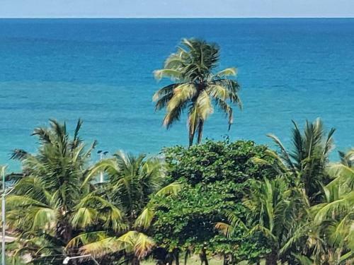 Apartamento Completo Beira Mar