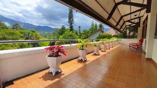 Villa Permata