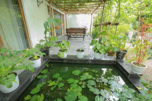 Villa Serenity Homestay Kottakkal