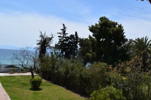 My Coast Plakabeach Nafplio
