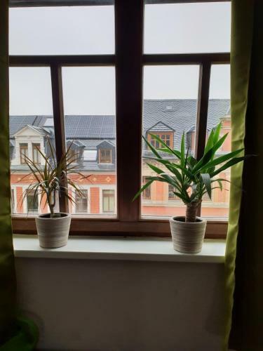 Hostal Bonifatia Chemnitz-sonnenberg