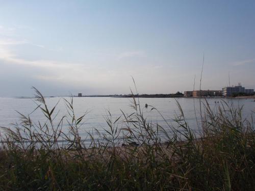 Apartamento Appartamento Sole
