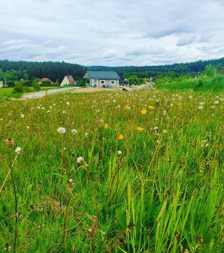 Domek Polna Cisza Bieszczady