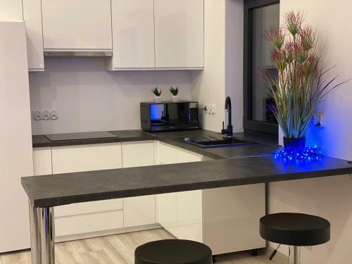 Apartament Beskidek