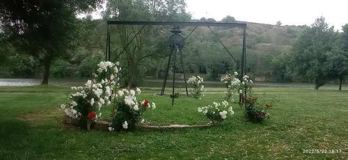 Quarto Duplo Em Moradia