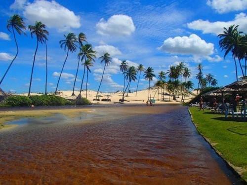 Apartamento Flat Aconchegante Em Ponta Negra - Natal/rn