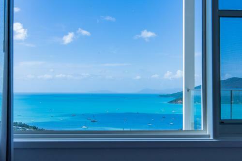The View