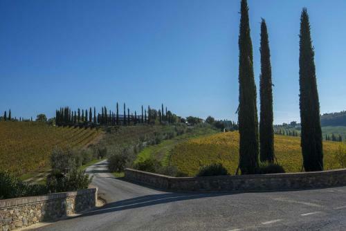 Agroturismo Agriturismo Le Gallozzole