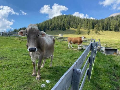 Posada H�mmermoosalm
