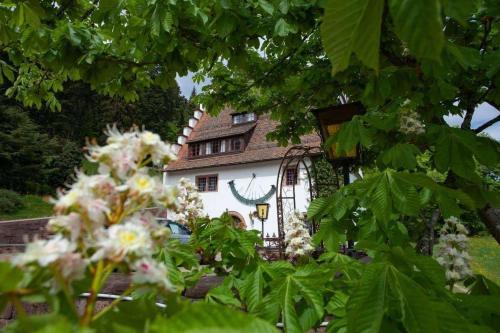Herrenhaus Hofgut B�renschl�ssle 2