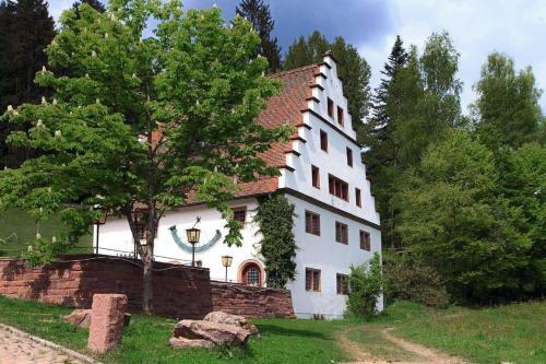 Herrenhaus Hofgut B�renschl�ssle 2