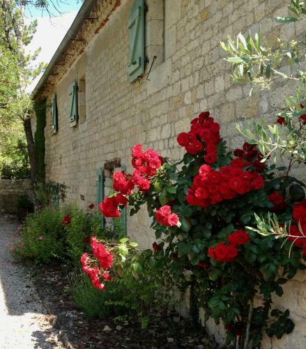 Bed & Breakfast Villa Mas