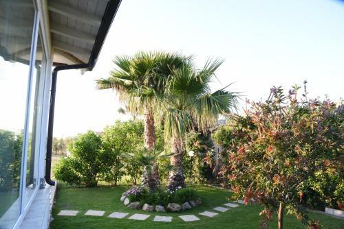 Villa Letizia