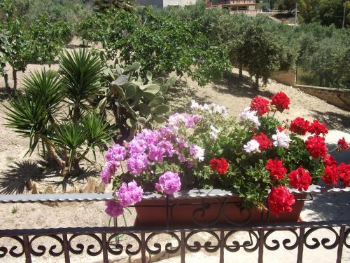 Apartamento La Rosa Rossa