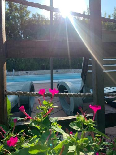Bed & Breakfast A Due Passi Da