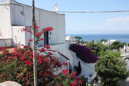 La Viola Apartment