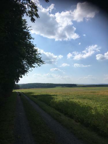 Ez Im Haus Maja