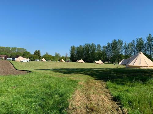 Great Witchingham Meadows