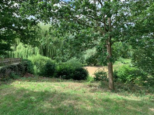 Great Witchingham Meadows
