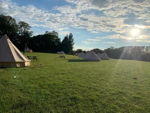 Great Witchingham Meadows